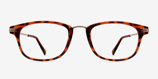 Monaco Brown & Tortoise PlasticEyeglass Frames from EyeBuyDirect, Front View