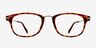 Monaco Brown & Tortoise PlasticEyeglass Frames from EyeBuyDirect, Front View