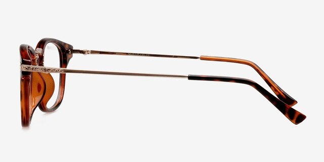 Monaco Brown & Tortoise PlasticEyeglass Frames from EyeBuyDirect, Side View