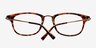 Monaco Brown & Tortoise PlasticEyeglass Frames from EyeBuyDirect, Closed View