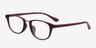 Newton Burgundy PlasticEyeglass Frames from EyeBuyDirect, Angle View