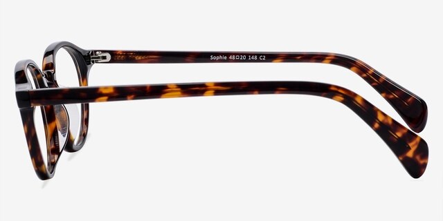 Sophie Tortoise AcetateEyeglass Frames from EyeBuyDirect, Side View