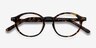 Sophie Tortoise AcetateEyeglass Frames from EyeBuyDirect, Closed View
