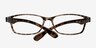 Encore Tortoise PlasticEyeglass Frames from EyeBuyDirect, Closed View