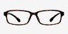 Belsize Tortoise PlasticEyeglass Frames from EyeBuyDirect, Front View