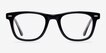 Blizzard Black AcetateEyeglass Frames from EyeBuyDirect, Front View