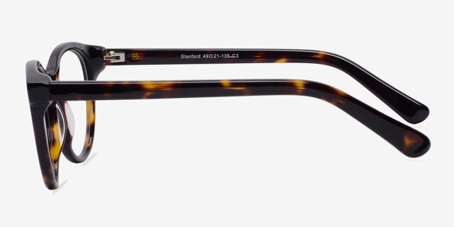 Stanford Tortoise AcetateEyeglass Frames from EyeBuyDirect, Side View