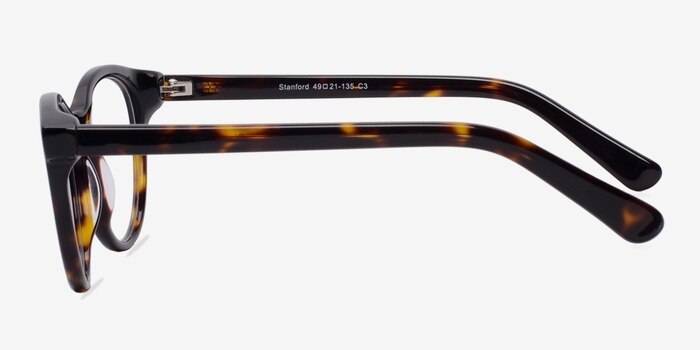 Stanford Tortoise Acetate Eyeglass Frames from EyeBuyDirect