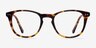 New Day Tortoise AcetateEyeglass Frames from EyeBuyDirect, Front View