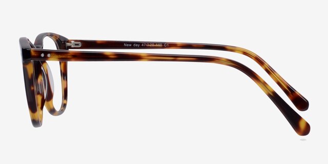 New Day Tortoise AcetateEyeglass Frames from EyeBuyDirect, Side View
