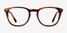 New Day Brown AcetateEyeglass Frames from EyeBuyDirect, Front View