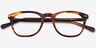 New Day Brown AcetateEyeglass Frames from EyeBuyDirect, Closed View