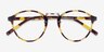 Chillax Tortoise MetalEyeglass Frames from EyeBuyDirect, Closed View