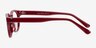 Rose Red AcetateEyeglass Frames from EyeBuyDirect, Side View