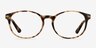 New Bedford Bronze & Tortoise AcetateEyeglass Frames from EyeBuyDirect, Front View