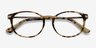 New Bedford Bronze & Tortoise AcetateEyeglass Frames from EyeBuyDirect, Closed View