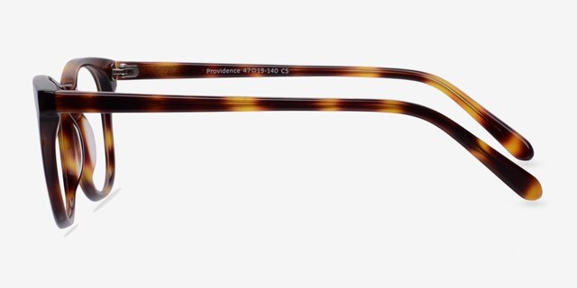 Providence Tortoise AcetateEyeglass Frames from EyeBuyDirect, Side View
