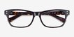 Avalon Tortoise AcetateEyeglass Frames from EyeBuyDirect, Closed View