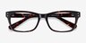 Avalon Tortoise AcetateEyeglass Frames from EyeBuyDirect, Closed View