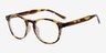 Instant Crush Tortoise PlasticEyeglass Frames from EyeBuyDirect, Angle View