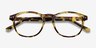 Instant Crush Tortoise PlasticEyeglass Frames from EyeBuyDirect, Closed View