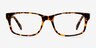 Casey Tortoise AcetateEyeglass Frames from EyeBuyDirect, Front View