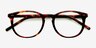 Aura Warm Tortoise AcétateMontures de lunettes de vue d'EyeBuyDirect, Vue Rapprochée