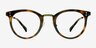 Nostalgia Caramel Acetate-metalEyeglass Frames from EyeBuyDirect, Front View