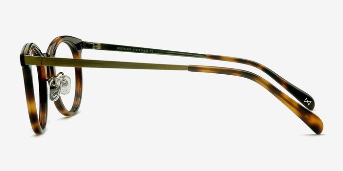 Nostalgia Caramel Acetate-metal Eyeglass Frames from EyeBuyDirect