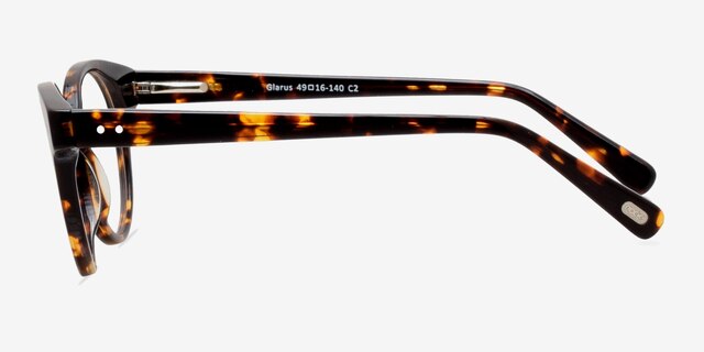 Glarus Tortoise AcetateEyeglass Frames from EyeBuyDirect, Side View