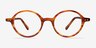 Flavor Écailles AcétateMontures de lunettes de vue d'EyeBuyDirect, Vue de Face