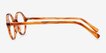 Flavor Tortoise AcetateEyeglass Frames from EyeBuyDirect, Side View