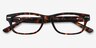 Fairmount Tortoise AcetateEyeglass Frames from EyeBuyDirect, Closed View