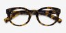 Morla Écailles AcétateMontures de lunettes de vue d'EyeBuyDirect, Vue Rapprochée