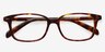 Sway Tortoise AcetateEyeglass Frames from EyeBuyDirect, Closed View