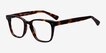 Samson Tortoise AcetateEyeglass Frames from EyeBuyDirect, Angle View