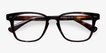 Samson Tortoise AcetateEyeglass Frames from EyeBuyDirect, Closed View