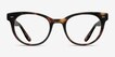 Daybreak Tortoise AcetateEyeglass Frames from EyeBuyDirect, Front View