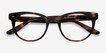 Daybreak Tortoise AcetateEyeglass Frames from EyeBuyDirect, Closed View
