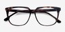 Capucine Tortoise AcetateEyeglass Frames from EyeBuyDirect, Closed View