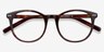 Primrose Écailles AcétateMontures de lunettes de vue d'EyeBuyDirect, Vue Rapprochée