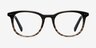 Demain Gray Brown AcetateEyeglass Frames from EyeBuyDirect, Front View