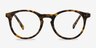 Neptune Matte Tortoise AcetateEyeglass Frames from EyeBuyDirect, Front View