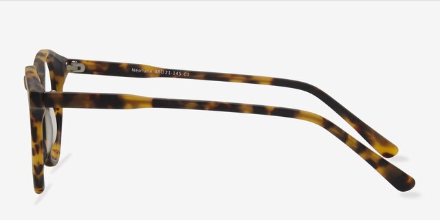 Neptune Matte Tortoise AcetateEyeglass Frames from EyeBuyDirect, Side View