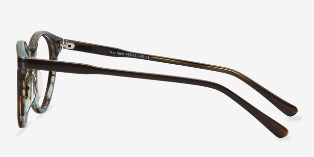 Neptune Brown AcetateEyeglass Frames from EyeBuyDirect, Side View