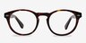 The Loop Tortoise AcetateEyeglass Frames from EyeBuyDirect, Front View
