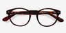 The Loop Tortoise AcetateEyeglass Frames from EyeBuyDirect, Closed View