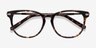 Decadence Écailles Acetate-metalMontures de lunettes de vue d'EyeBuyDirect, Vue Rapprochée