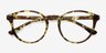 Bright Side Tortoise PlasticEyeglass Frames from EyeBuyDirect, Closed View