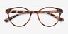 Palette Matte Leopard PlasticEyeglass Frames from EyeBuyDirect, Closed View